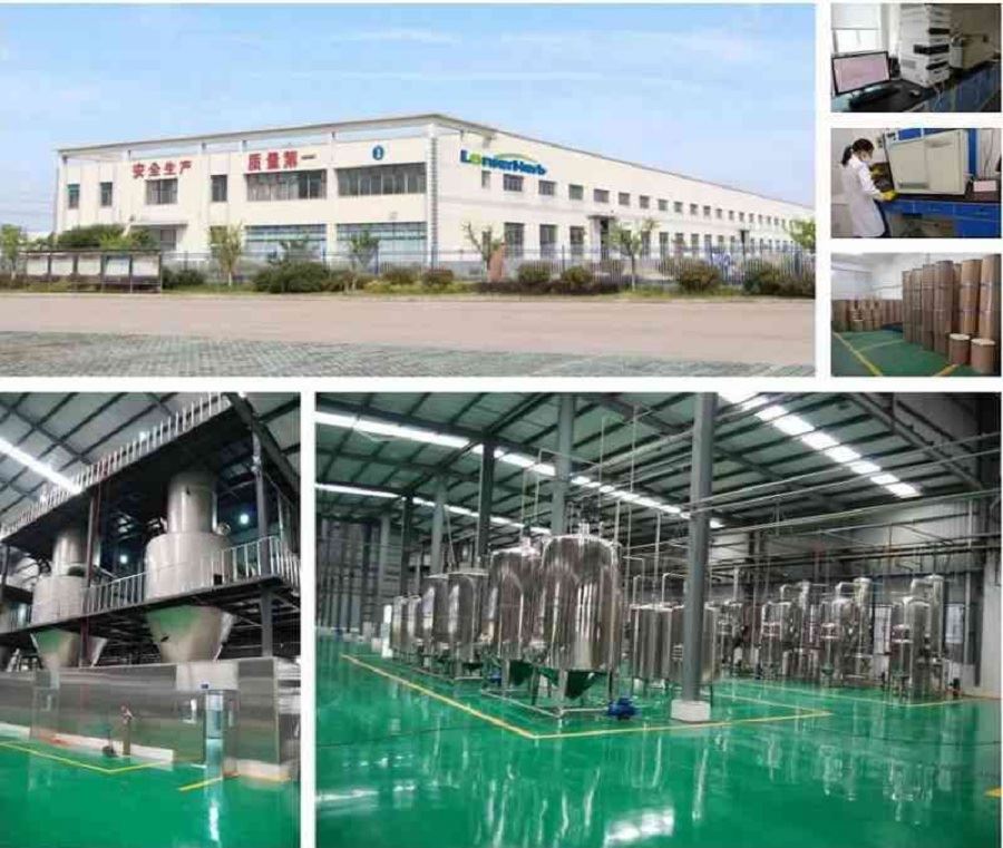 Bioperine Powder factory