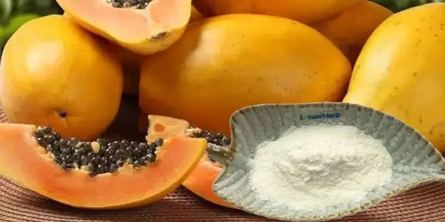 Papain Enzyme Powder for sale