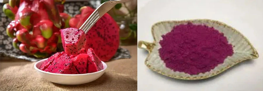 Wholesale Dragon Fruit Freeze Dried Powder