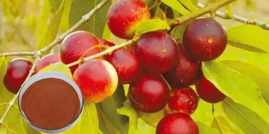 Camu Camu Extract Powder manufacturers Camu Camu Extract Powder manufacturers