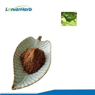 Εκχύλισμα Graviola σε σκόνη