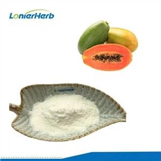 Ενζυμική σκόνη παπαΐνης