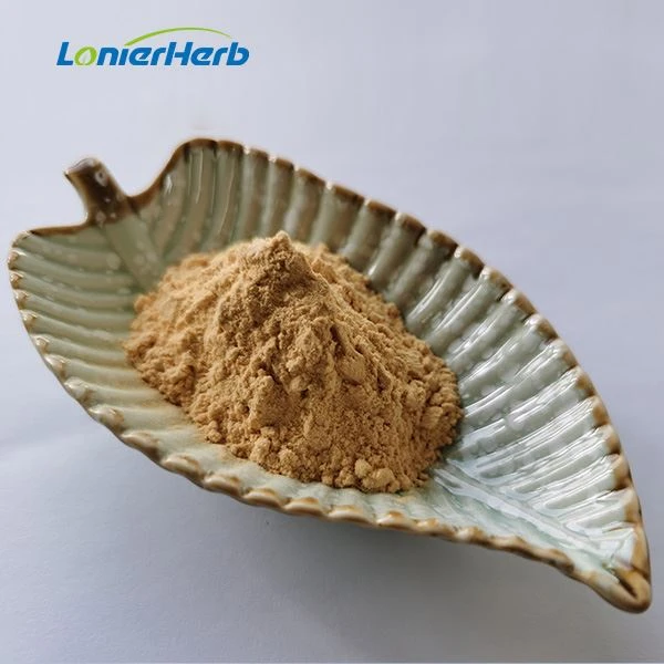 Lonicera Japonica Extract