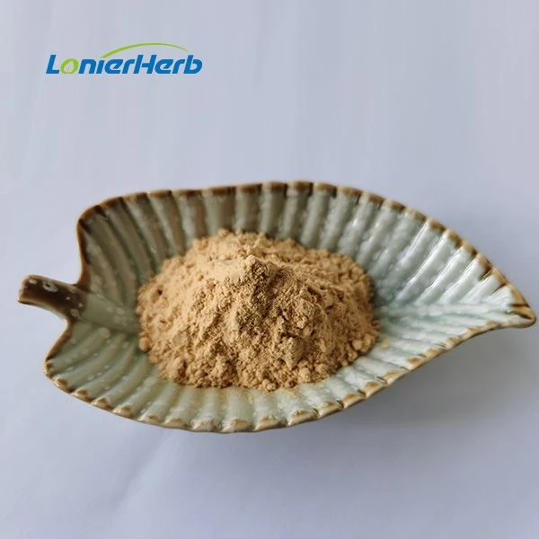 Lonicera Japonica Extract
