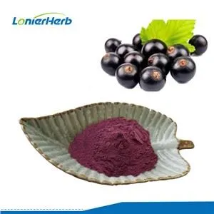 Maqui Berry Powder
