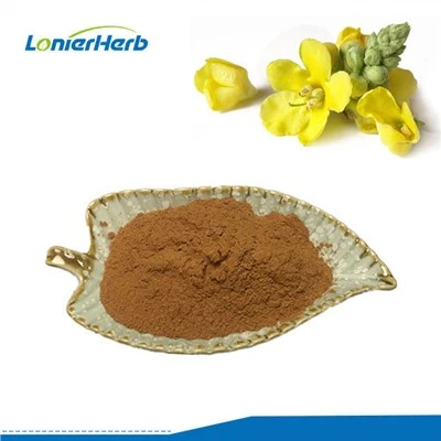 Εκχύλισμα Mullein σε σκόνη