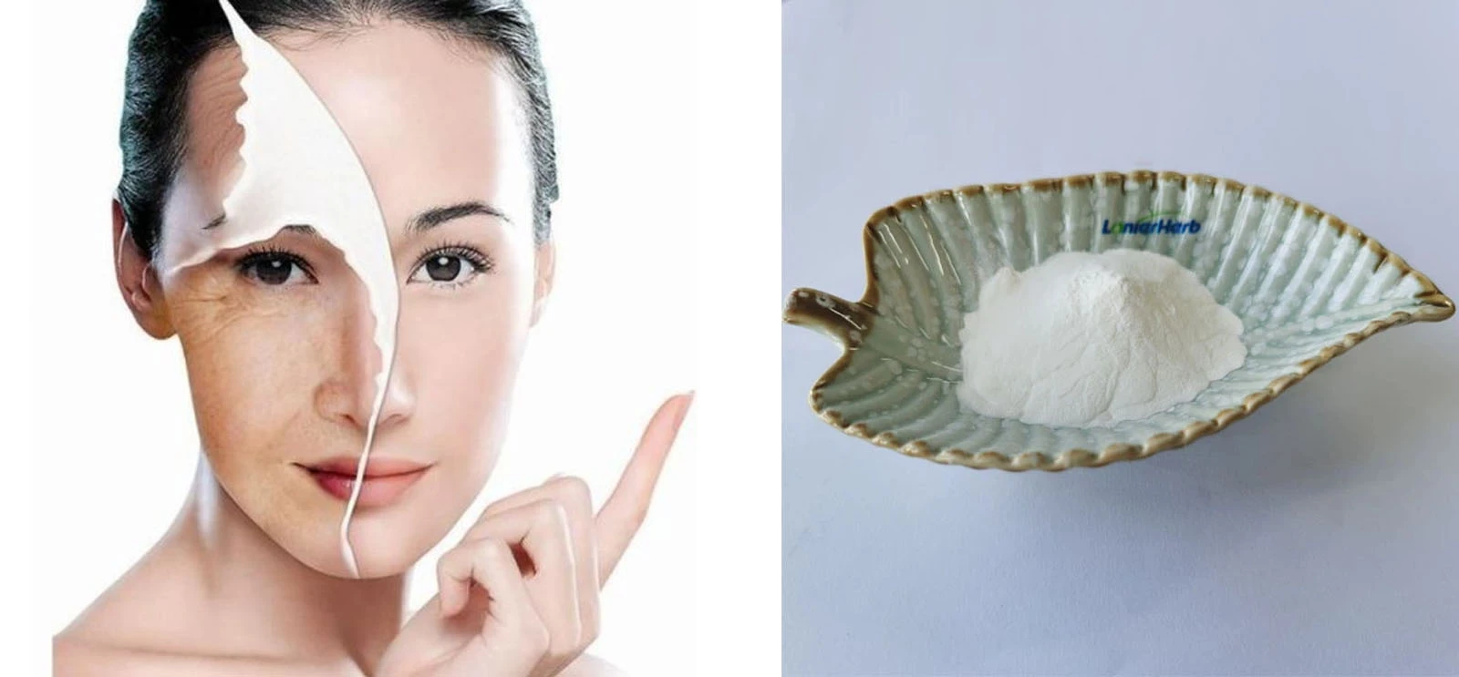Lonierherb Pentapeptide-18 Lonierherb Pentapeptide-18